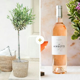 Olivier tige et son vin rosé "La Minuette"