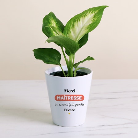 1750959075-1202857-2025