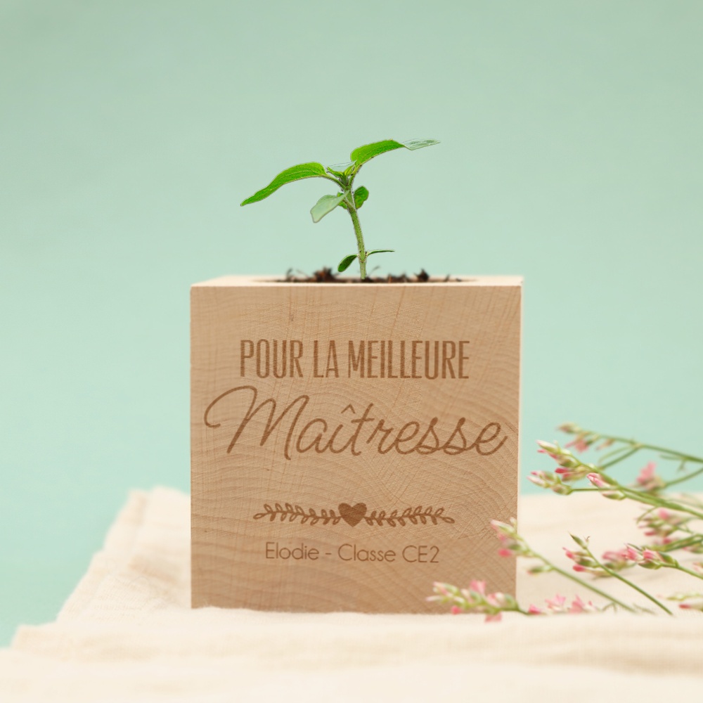 Ecocube Merci Maîtresse