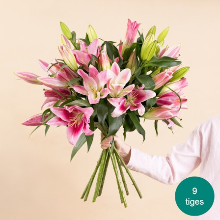 1750959075-1202857-2025