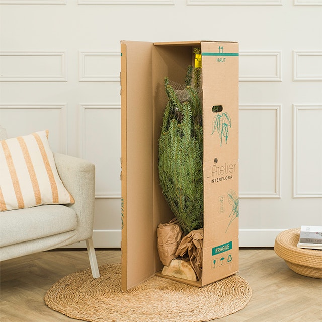 Bien emballé, bien protégé, pour un transport en toute sécurité