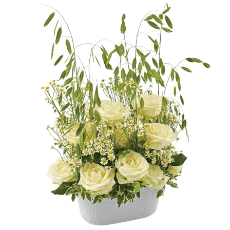 1750959075-1202857-2025