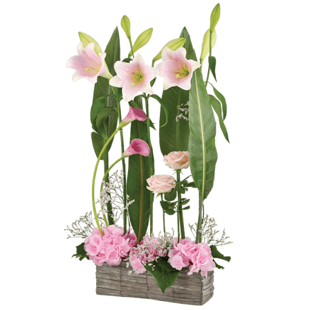 1750959075-1202857-2025