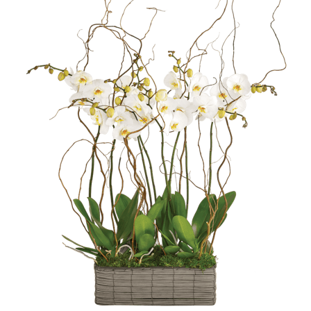 1750959075-1202857-2025