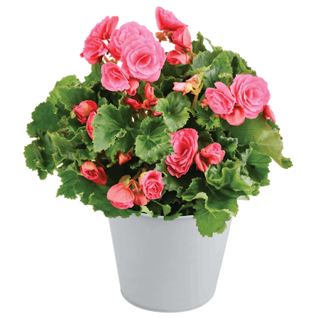 1750959075-1202857-2025