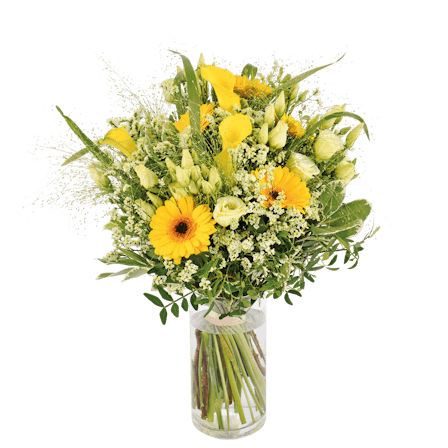 1750959075-1202857-2025