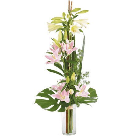 1750959075-1202857-2025