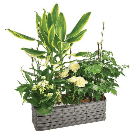 1750959075-1202857-2025