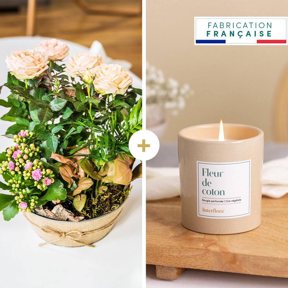 Coin de paradis et sa bougie parfumée