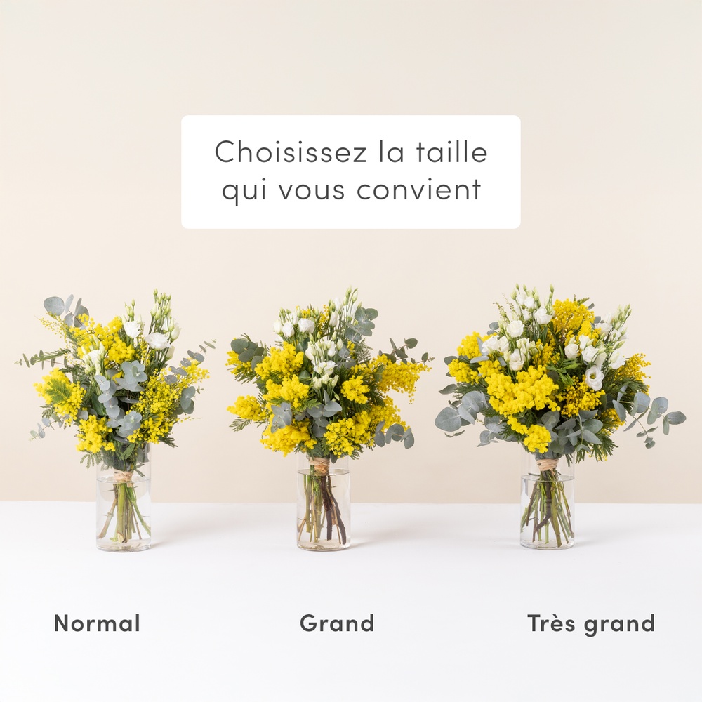 Bouquet de mimosa