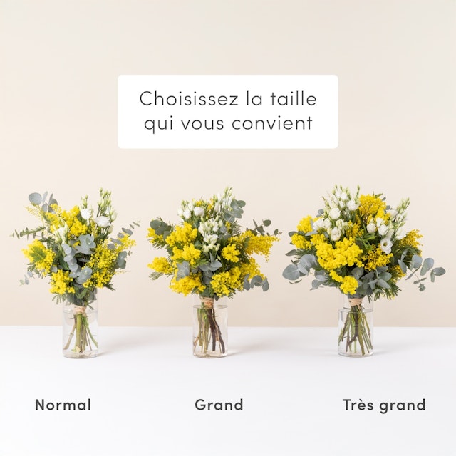 Bouquet de mimosa