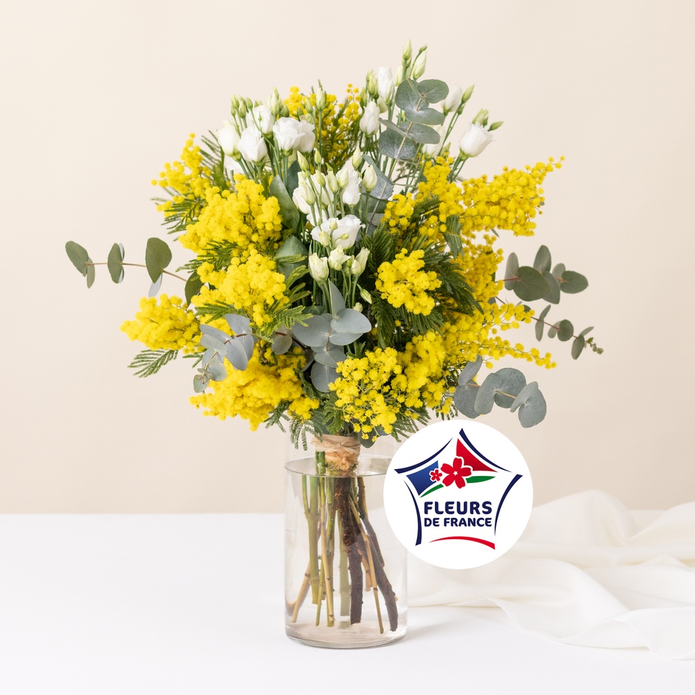 Bouquet de mimosa