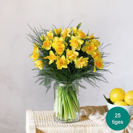 1750959075-1202857-2025