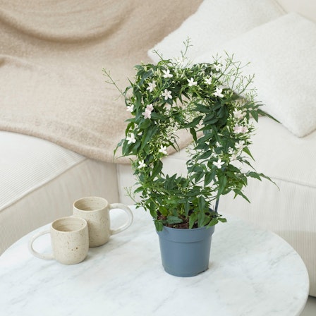 1750959075-1202857-2025