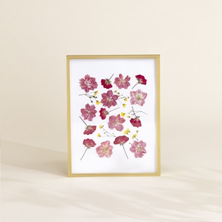 1750959075-1202857-2025