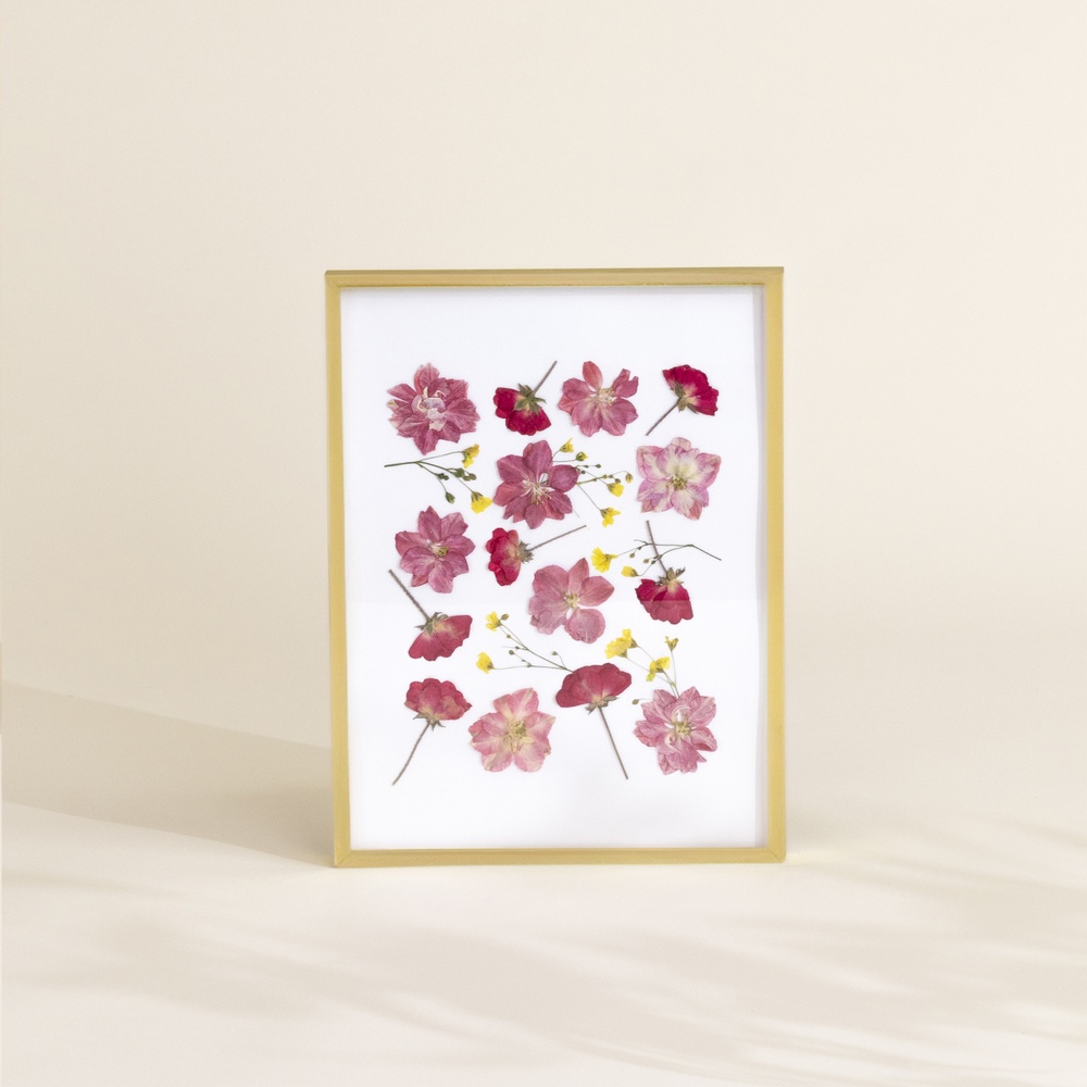 Herbier de fleurs séchées