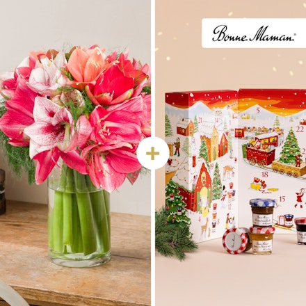 Brassée d'amaryllis et son Calendrier de l'Avent Bonne Maman