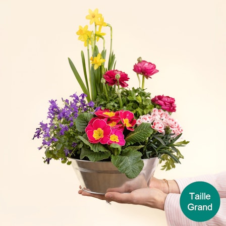 1750959075-1202857-2025