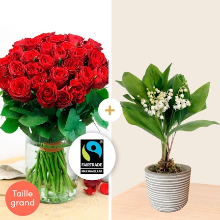 1750959075-1202857-2025