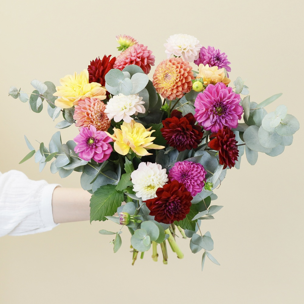 Brassée de Dahlias