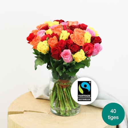 1750959075-1202857-2025