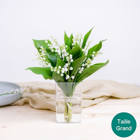 1750959075-1202857-2025