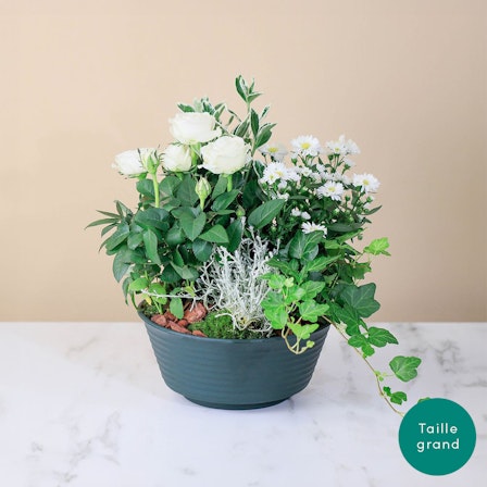 1750959075-1202857-2025