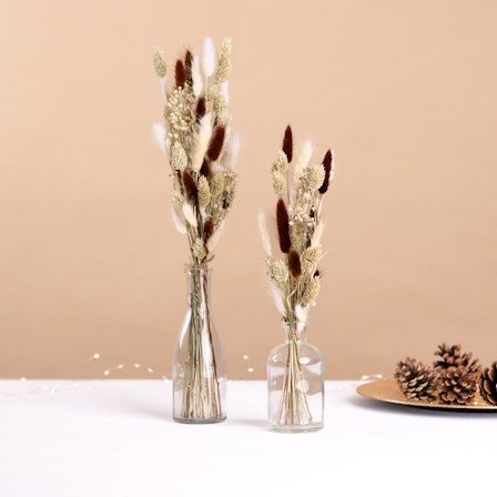 1750959075-1202857-2025