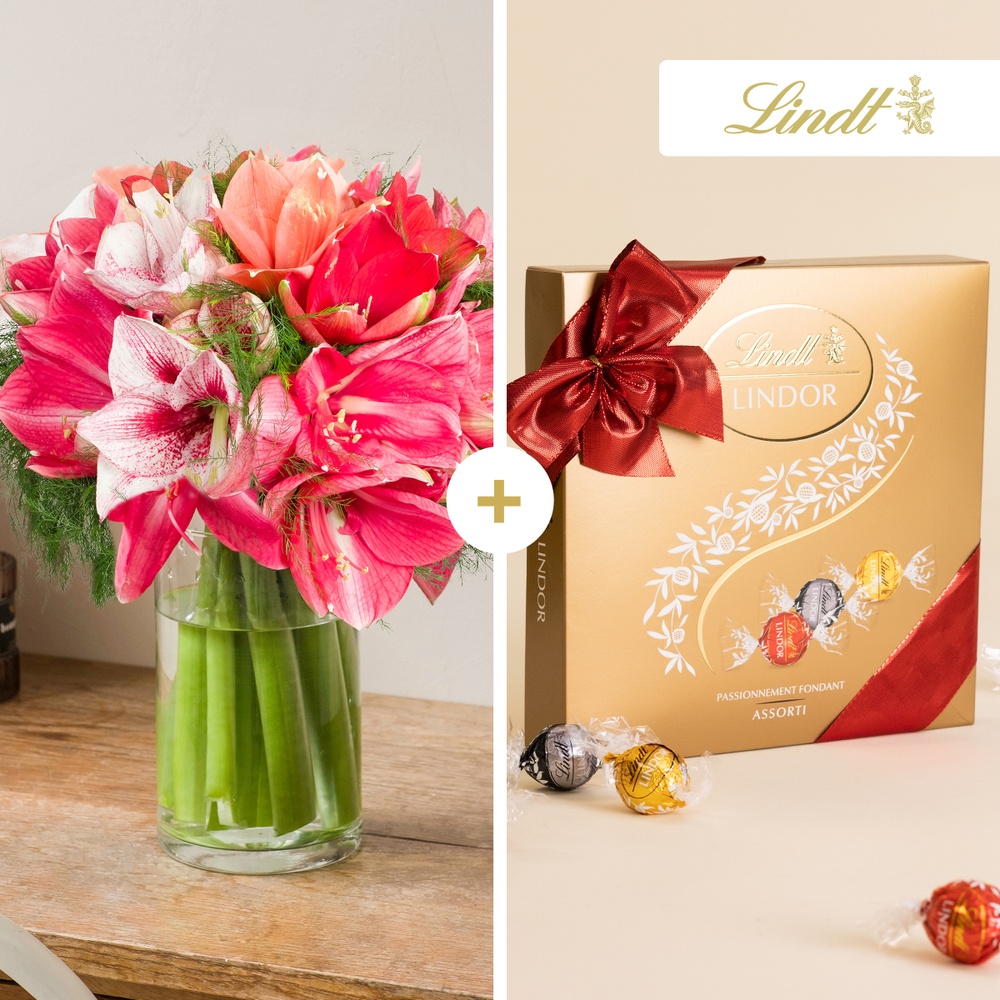 Brassée d'amaryllis et son coffret Lindt