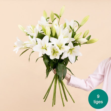 1750959075-1202857-2025