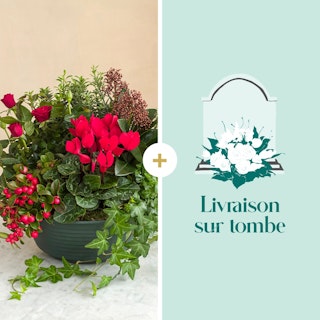 Amitié éternelle et sa livraison sur tombe