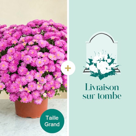 1750959075-1202857-2025