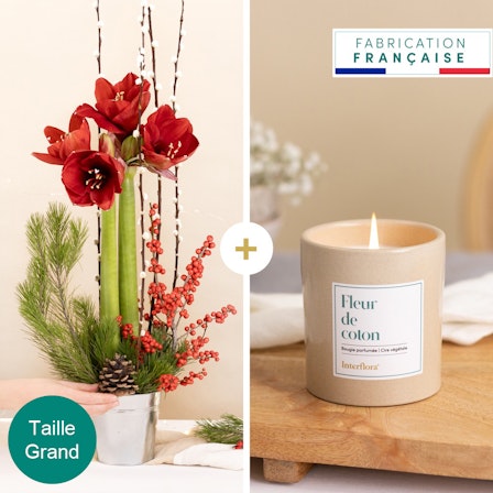 1750959075-1202857-2025