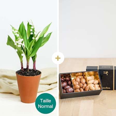 1750959075-1202857-2025