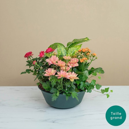 1750959075-1202857-2025