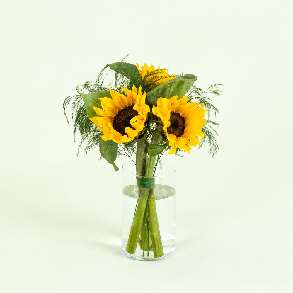 Petite brassée de tournesols