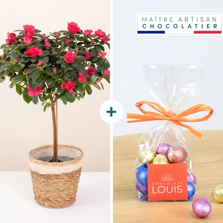 1750959075-1202857-2025