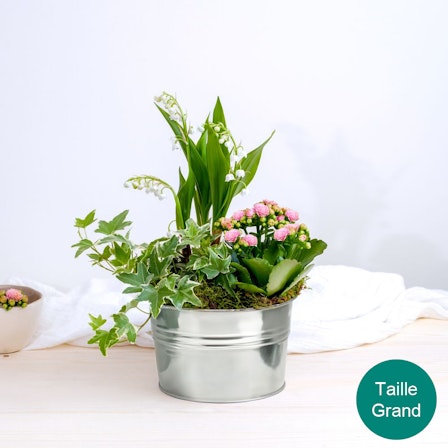 1750959075-1202857-2025