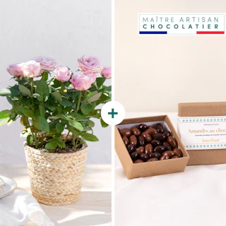 Rosier et ses amandes au chocolat