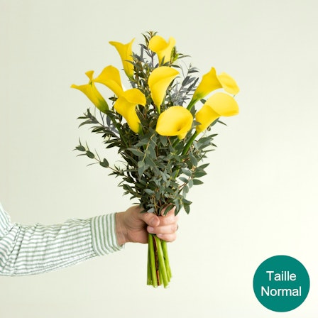 1750959075-1202857-2025