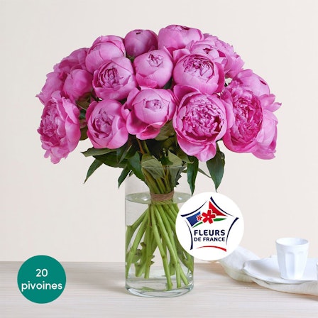 1750959075-1202857-2025