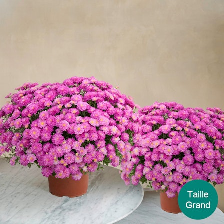 1750959075-1202857-2025