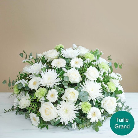 1750959075-1202857-2025