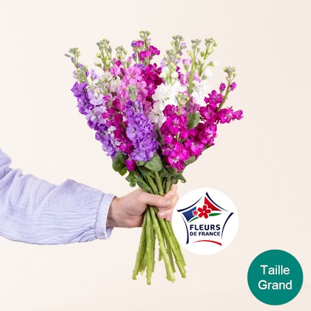 1750959075-1202857-2025