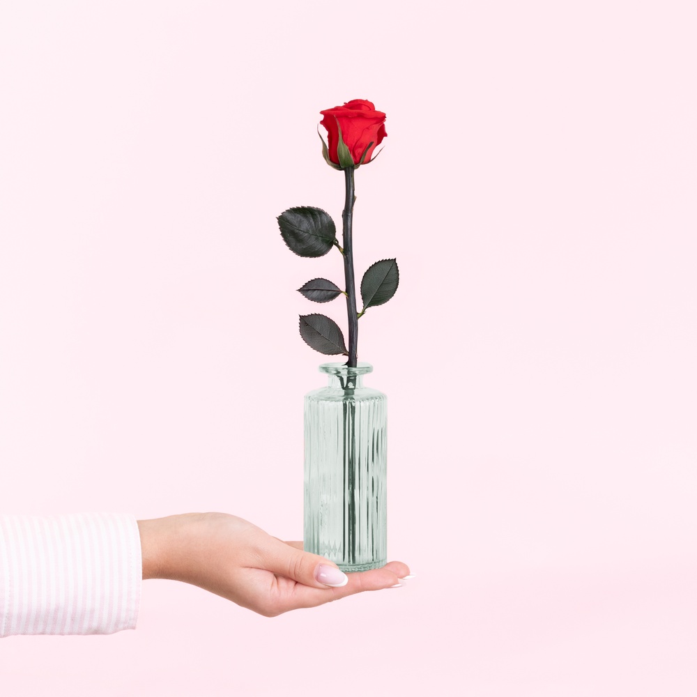 Rose éternelle et son soliflore