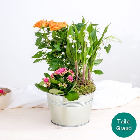 1750959075-1202857-2025