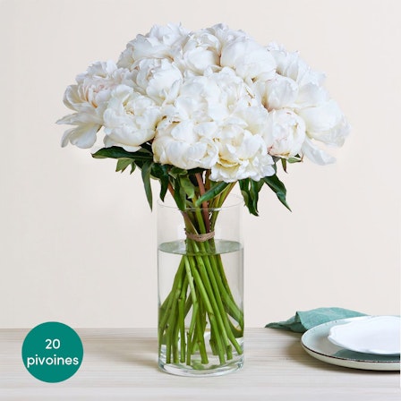 1750959075-1202857-2025