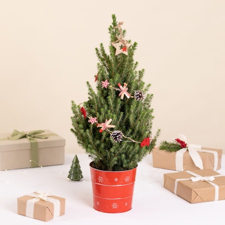 1750959075-1202857-2025