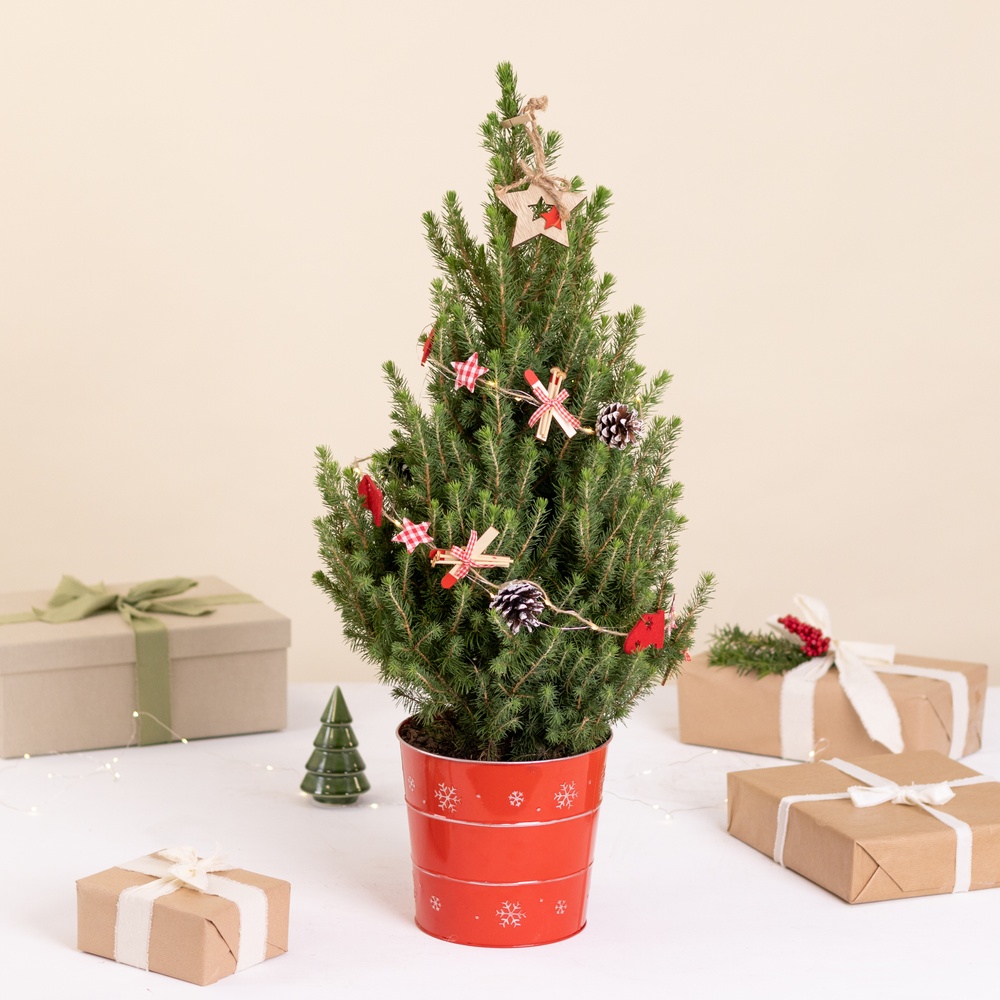 Sapin vert et sa décoration de Noël