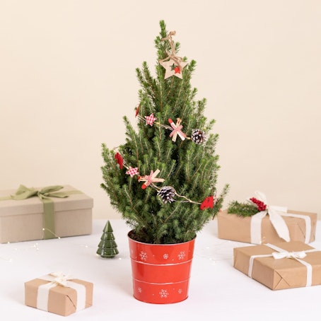 Sapin vert et sa décoration de Noël